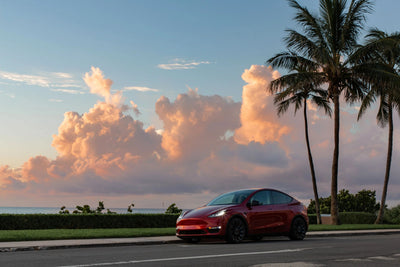 Mastering Your First Electric Road Trip: Insights and Tips from Tesla Owners