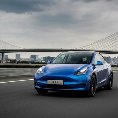 Tesla Model Y en tête alors que les immatriculations hebdomadaires en Chine atteignent un sommet du troisième trimestre