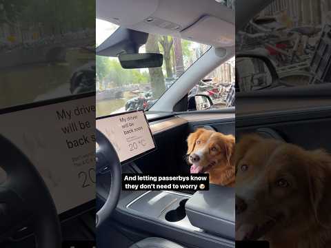 The Ultimate Guide to Tesery Tesla Model Y Dog Mode The Ultimate Guide to Tesery Tesla Model Y Dog Mode