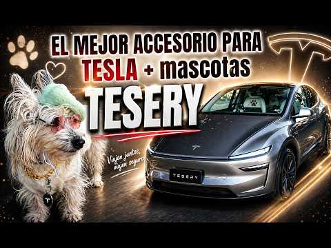 Best Tesla Pet Seat Cover? Tesery Model Y/3 Review