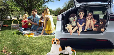Compruebe si los propietarios de Tesla deben instalar alfombrillas Tesla Model Y