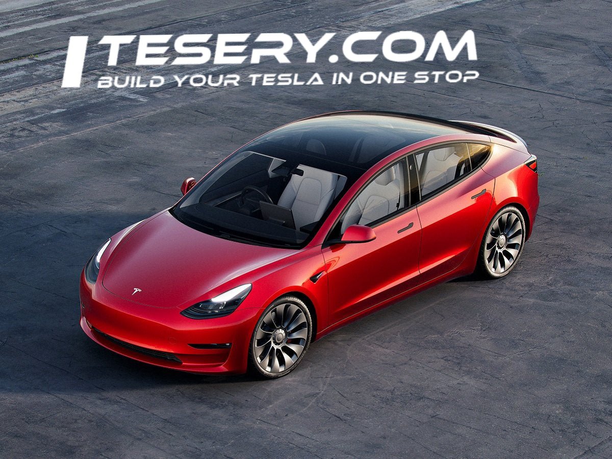 Navigating Tesla's Road Ahead: Challenges and Opportunities - Tesery Official Store