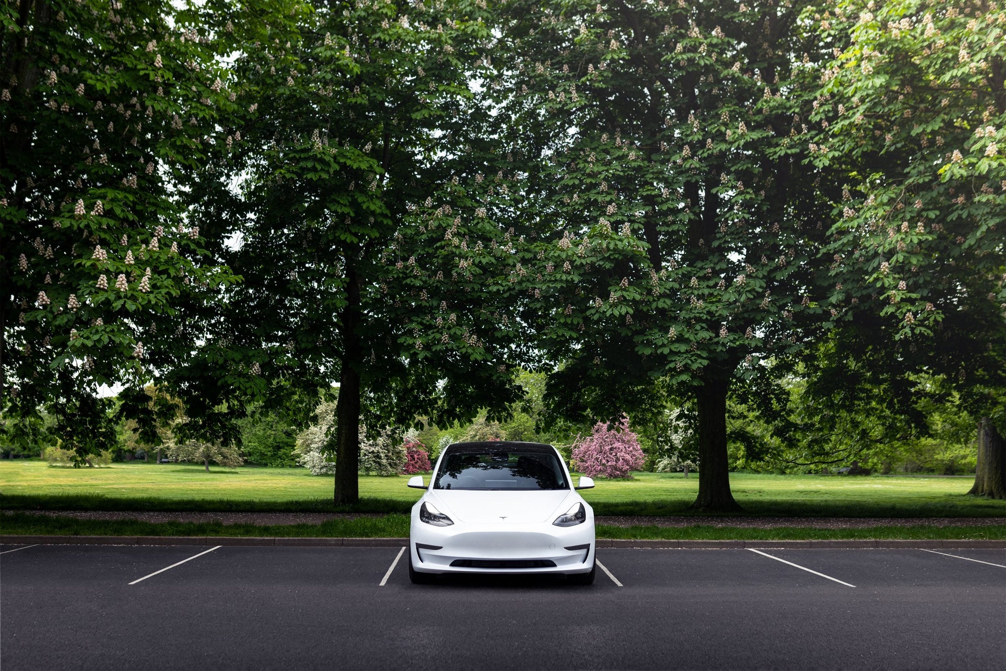 Simplifying the Switch: A Step-by-Step Guide to Trading In with Tesla