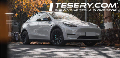 タンパのDASHプログラム：ダウンタウン移動のためのテスラ モデルYライド