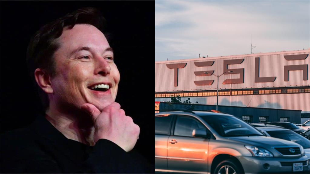 Tesla Fans Call on Musk to Revive PR Team - Tesery Official Store