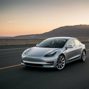 Tesla Launches Affordable ‘Standard’ Model 3 and Model Y - Tesery Official Store