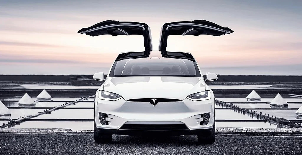 Tesla Leads the Charge: A Pioneer in Fleet Electrification - Tesery Official Store