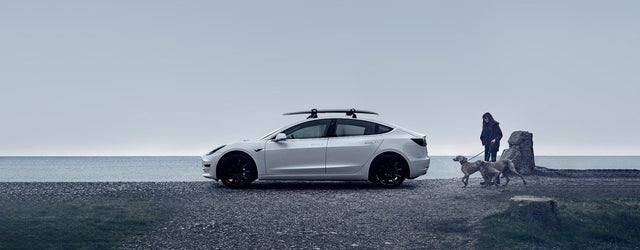 Portaequipajes Tesla para el modelo Y/3: ¿Qué necesita saber?