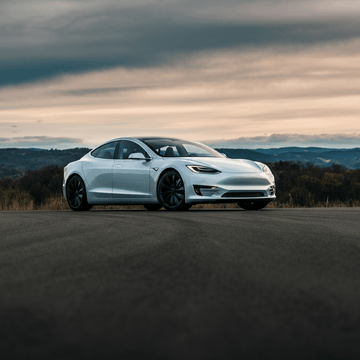 Tesla Solidifies AI Ecosystem with Strategic 2 Billion Dollar Investment in xAI - Tesery Official Store