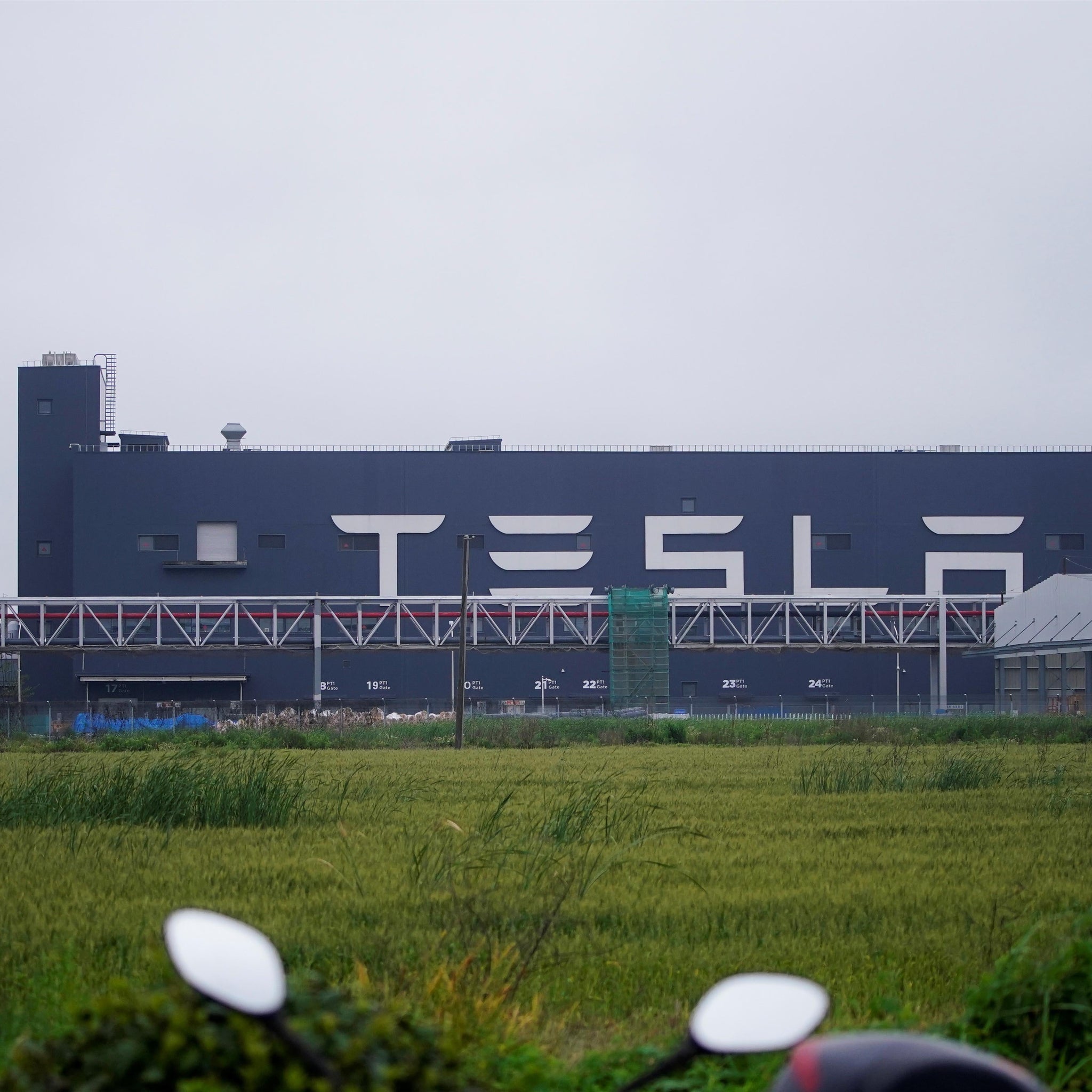 Tesla's Megapack Factory in China: Latest Updates and Future Prospects - Tesery Official Store