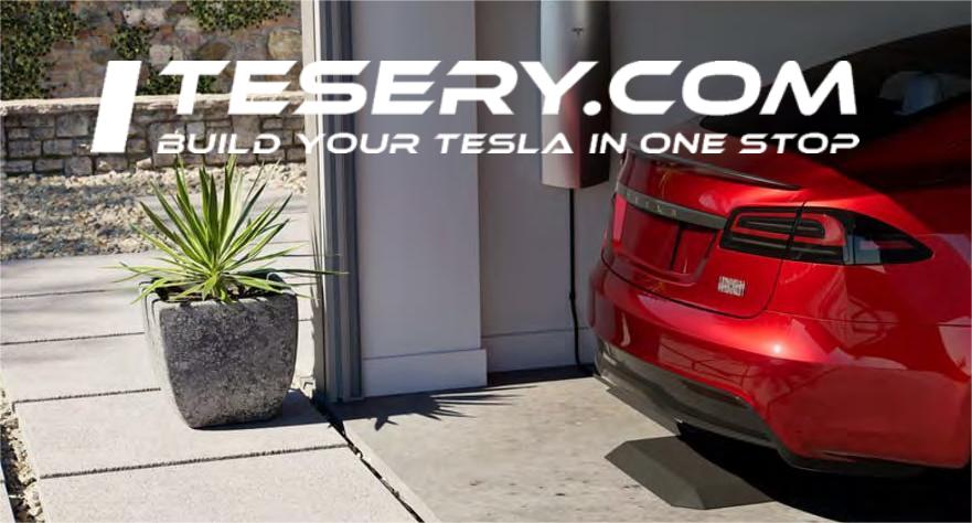 Tesla's Stealthy Talent Grab: Decoding the Ingenious Move Behind the Wiferion Acquisition - Tesery Official Store
