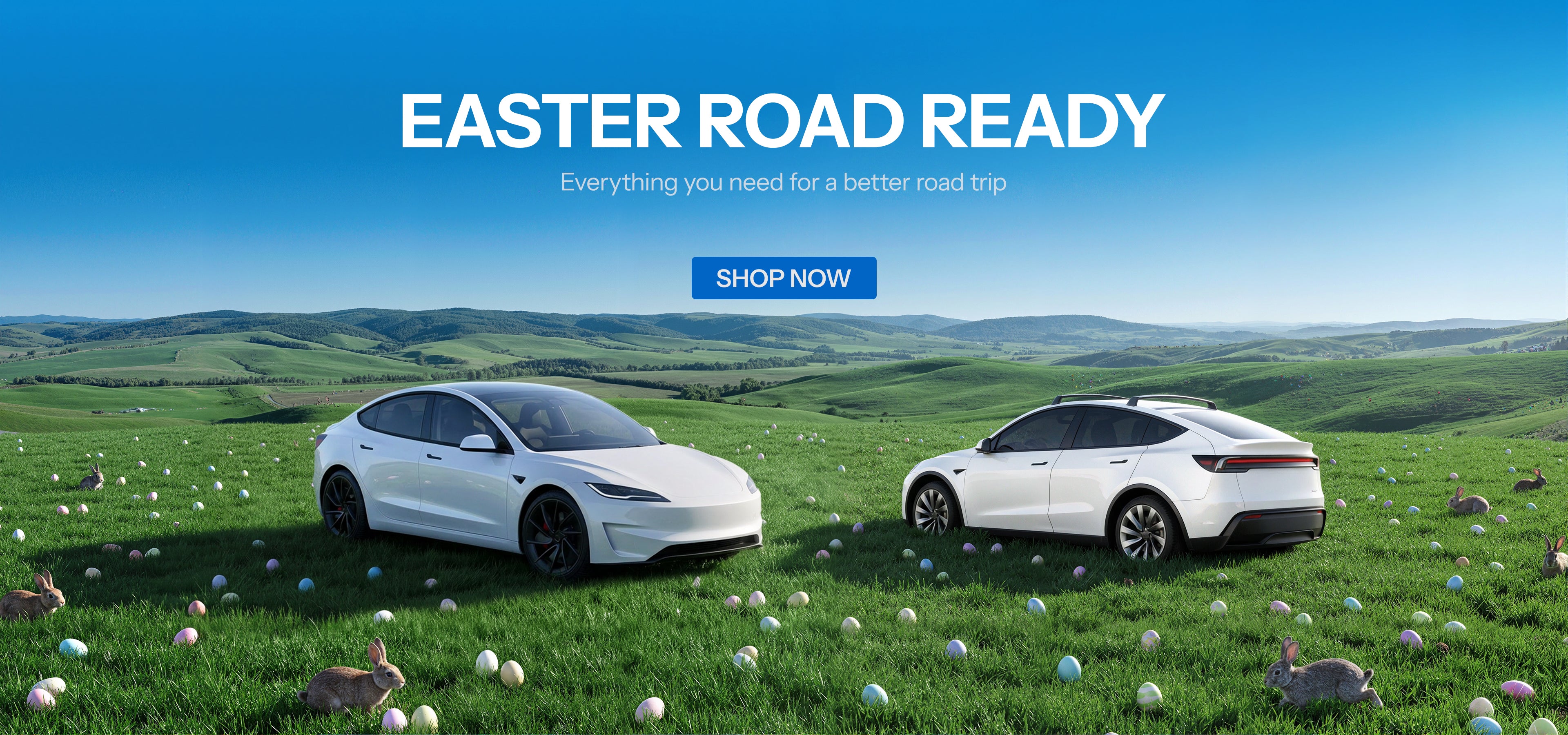 I migliori accessori Tesla Model 3/Y/S/X di – Pagina 14 I migliori accessori Tesla Model 3/Y/S/X di – Pagina 14