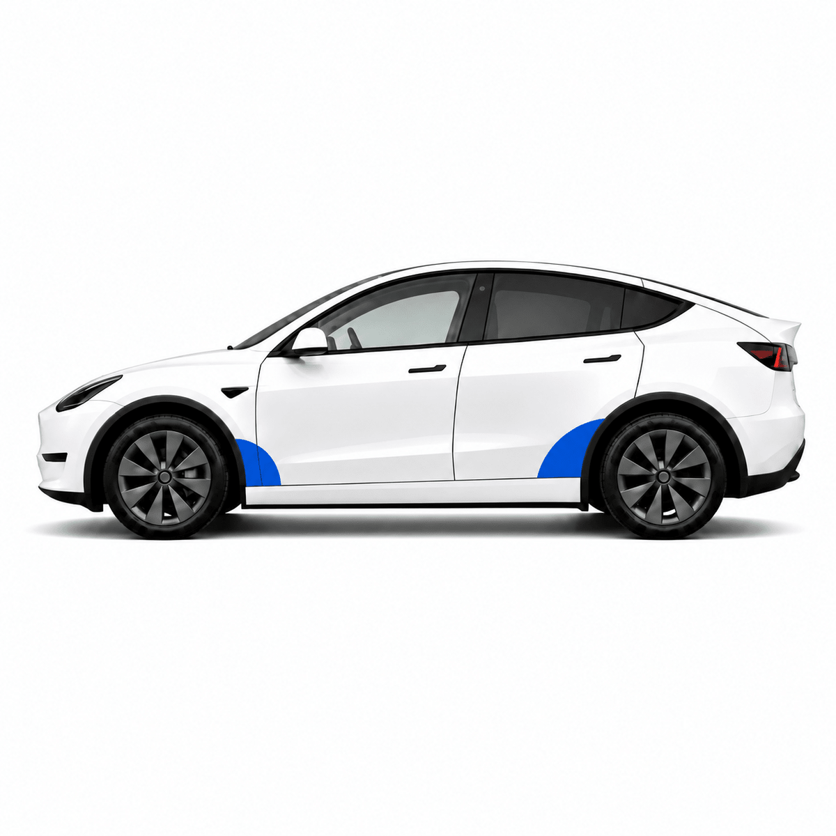 Clear Paint Protective Film kits for Tesla Model 3 / Model Y - Tesery Official Store