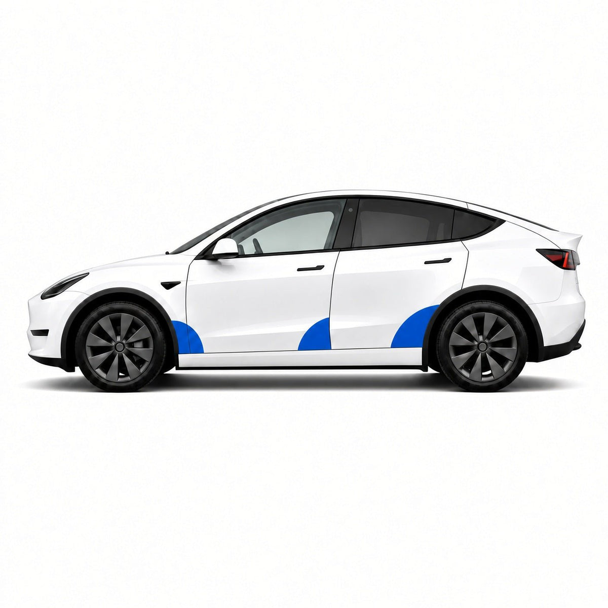 Paint Protection Film For Tesla Model 3 & Model Y - Tesery Official Store