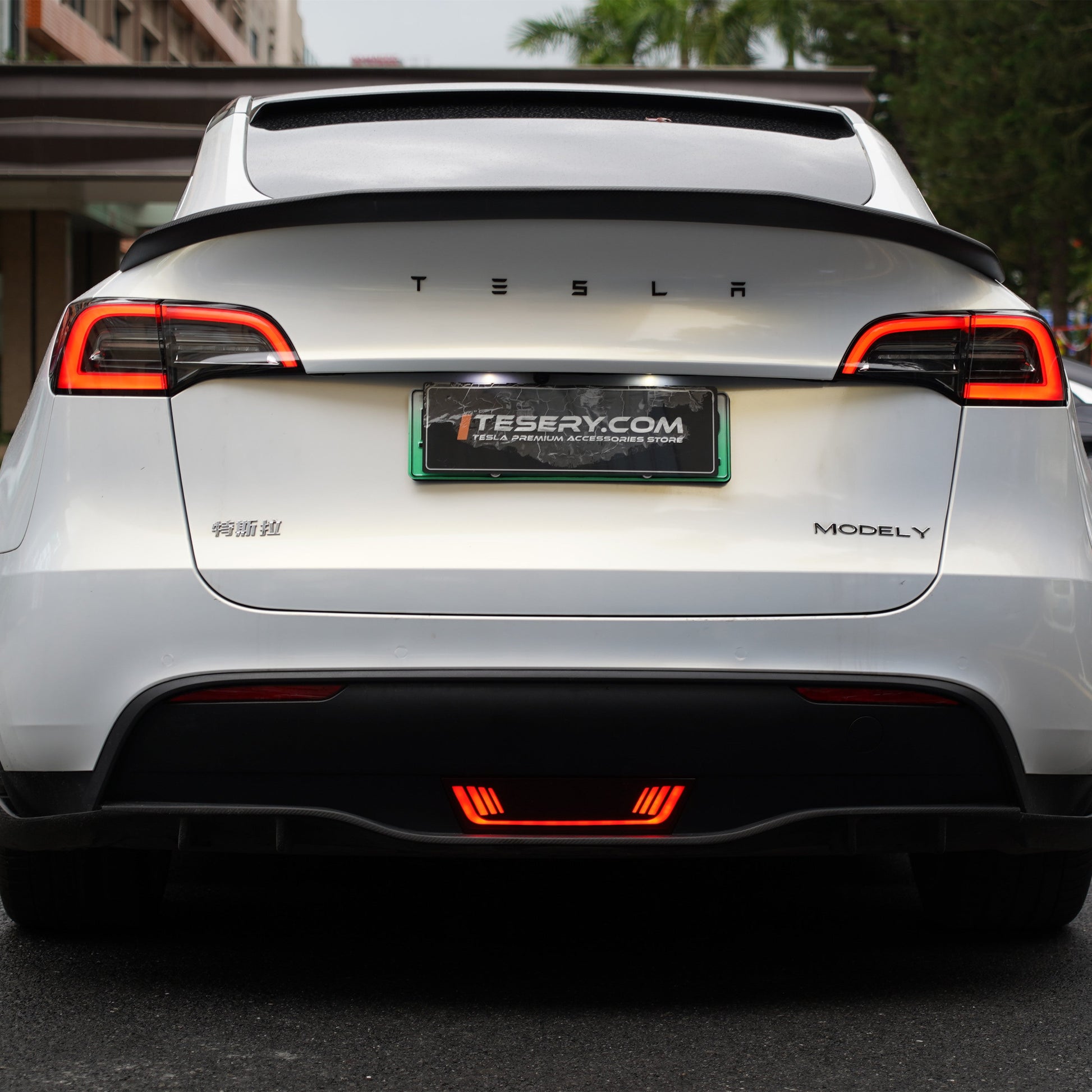 Pilot Light For Tesla Model Y - Tesery Official Store