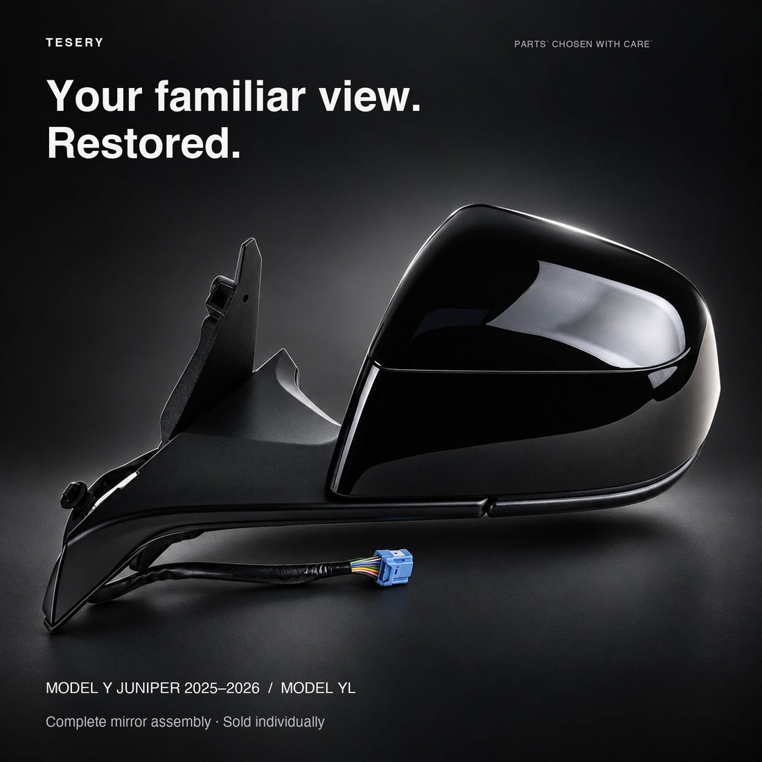 Side Mirror Assembly for Tesla Model Y Juniper & Model YL - Tesery Official Store