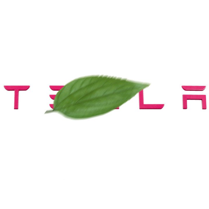 Tailgate Lettered Rear Logo For Tesla Model 3/Y - Tesery Official Store