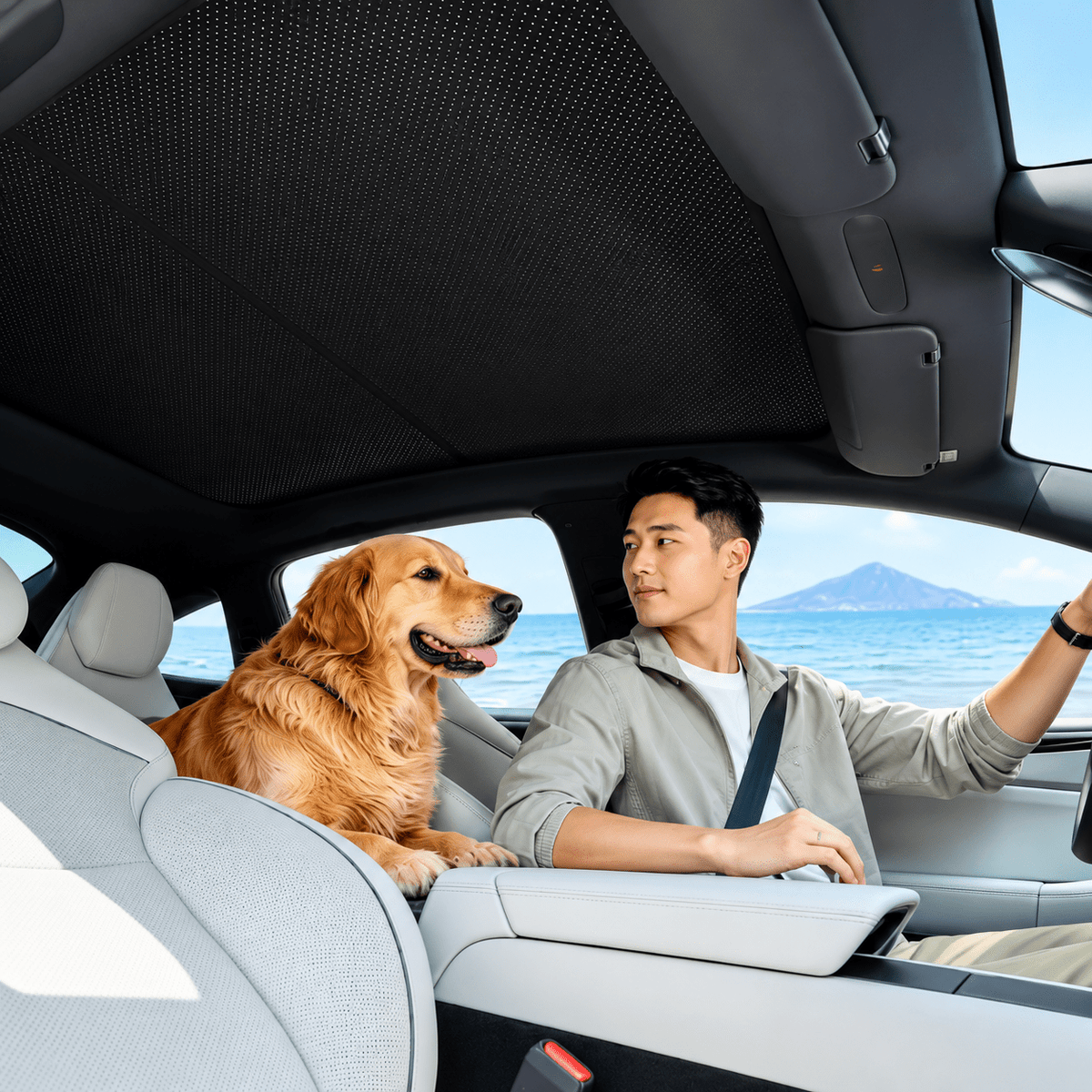 TESERY Glass Roof Sunshade for Model YL 6-Seater - Tesery Official Store