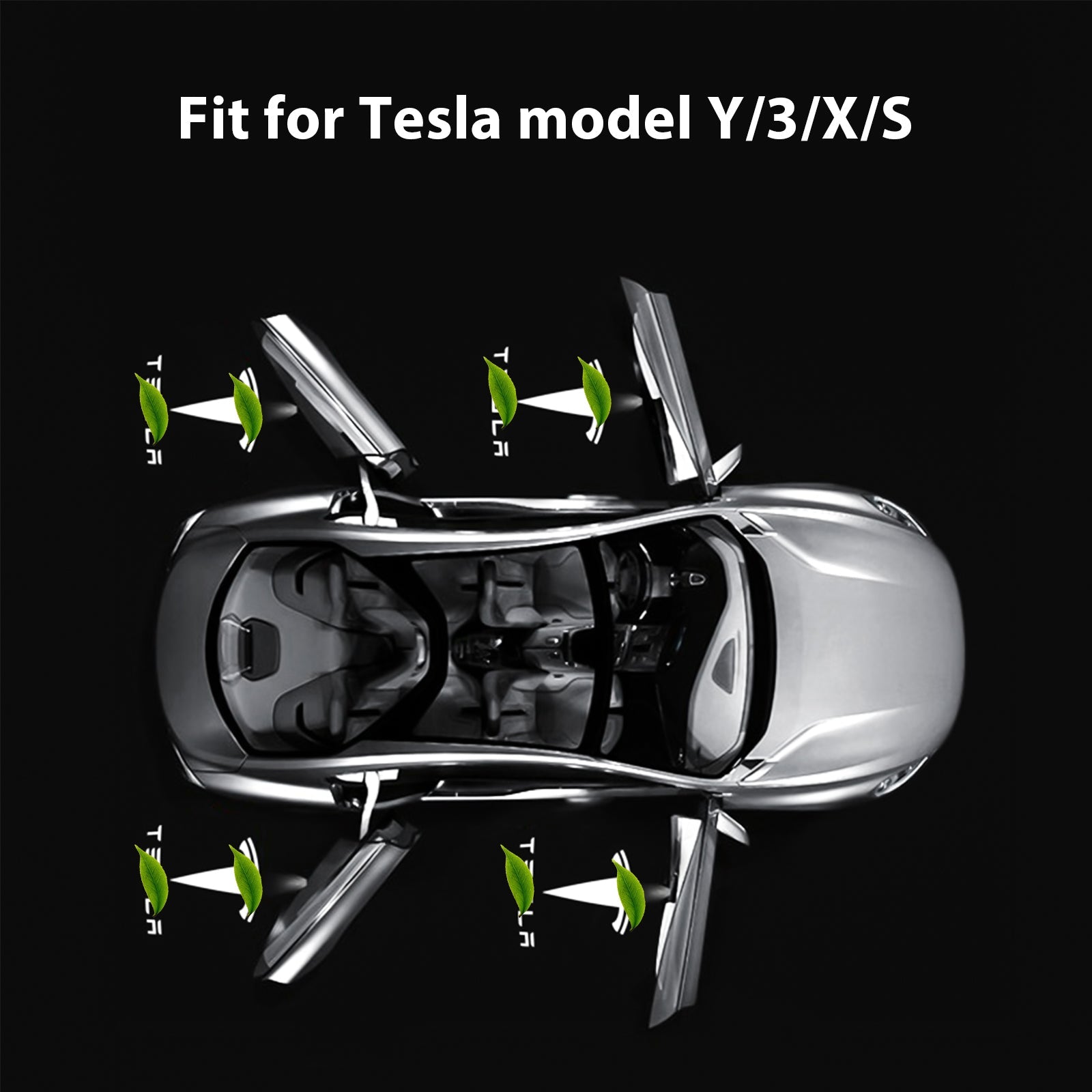 LED Logo Tesla Puddle Lights 2pcs/4pcs for Model 3/Y/S/X - Tesery Official Store