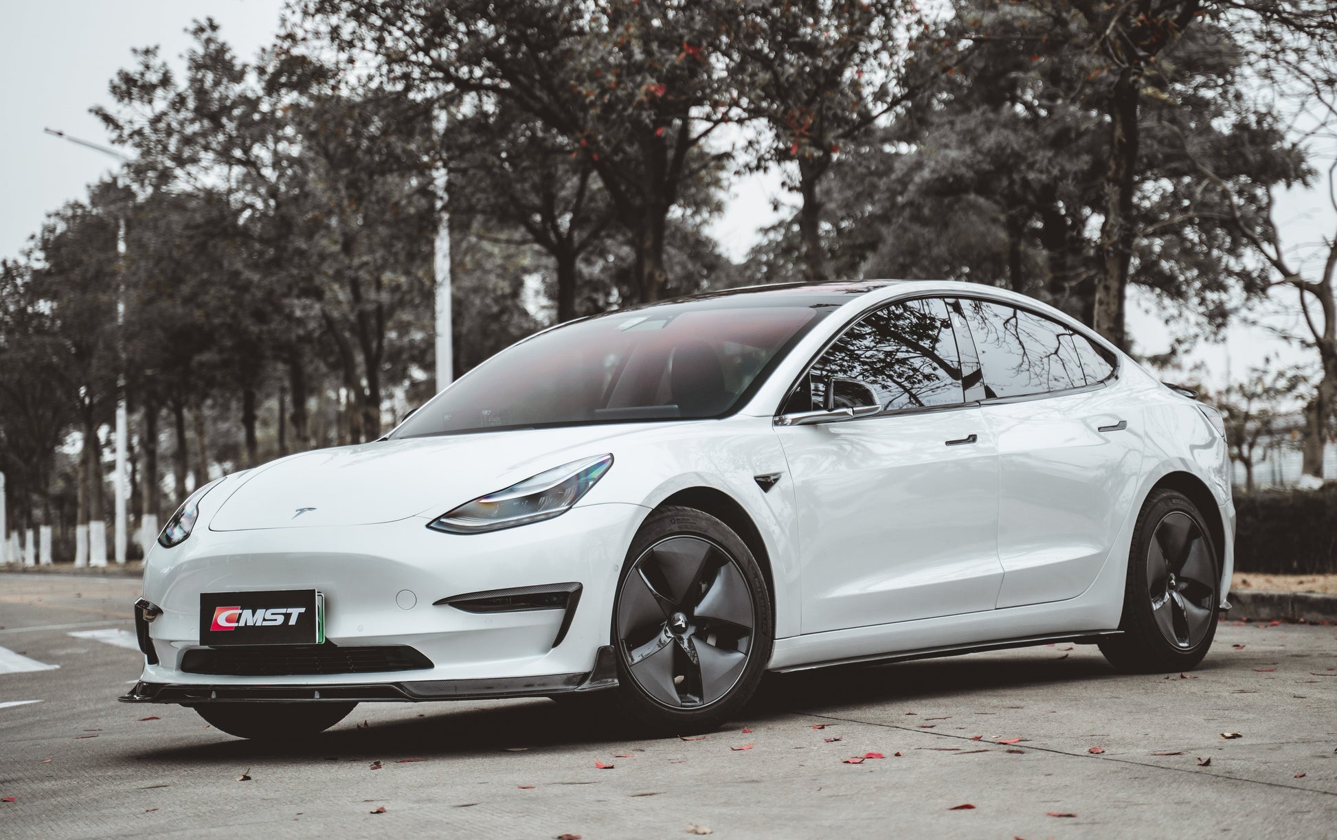 TESERY×CMST Tesla Model 3 Carbon Fiber Upper Valences - Tesery Official Store
